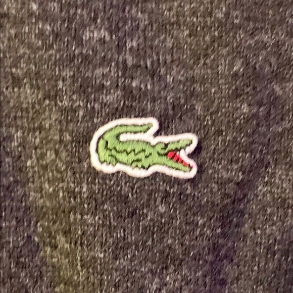 Lacoste hooded wool pullover sweater in dark grey - Picture 2 of 4